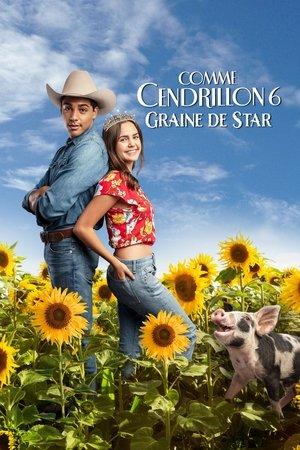 Comme Cendrillon 6 : Graine De Star streaming