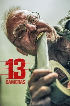 13 Cameras streaming