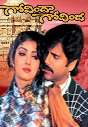 గోవింద గోవింద streaming