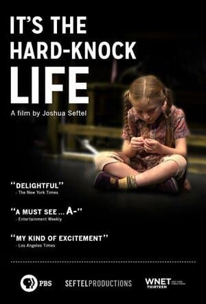 ANNIE: It's the Hard-Knock Life, from Script to Stage streaming
