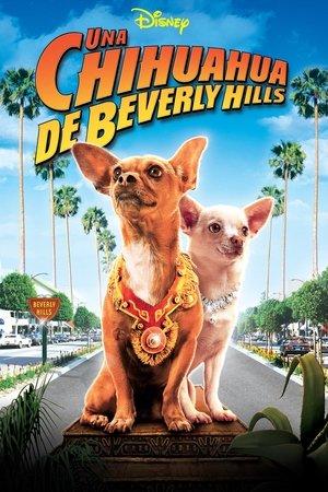 Un chihuahua en Beverly Hills streaming