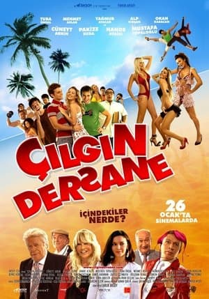 Çılgın Dersane streaming