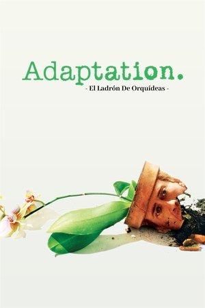 Adaptation. El ladrón de orquídeas streaming
