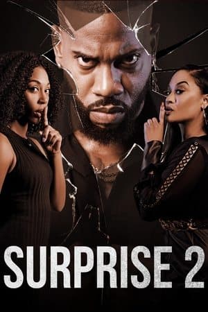 Surprise 2 streaming
