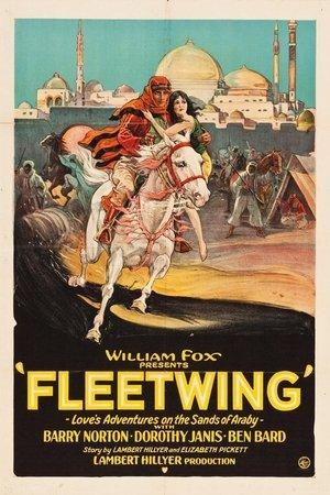 Fleetwing streaming