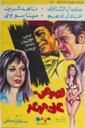 Boğaziçi Soygunu streaming