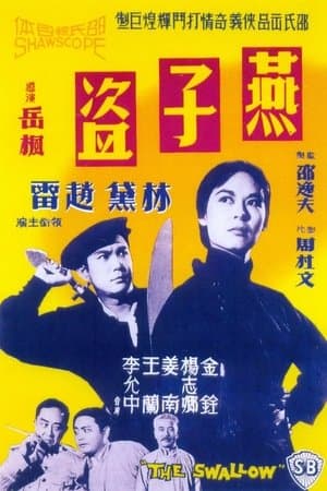 燕子盜 streaming