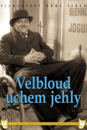 Velbloud uchem jehly streaming