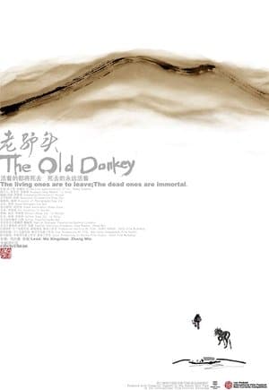 老驴头 streaming