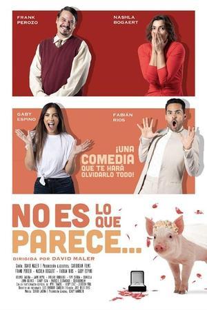 No es lo que parece streaming