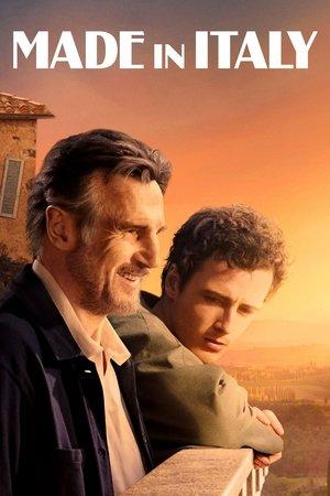 Made in Italy streaming