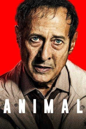 Animal streaming