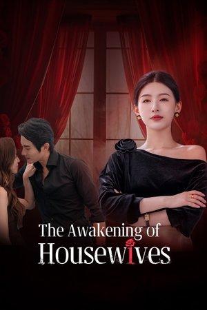 The Awakening of Housewives streaming