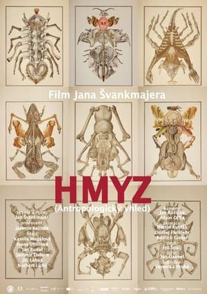 Hmyz streaming