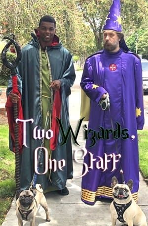 Two Wizards, One Staff streaming