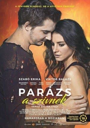 Parázs a szívnek streaming