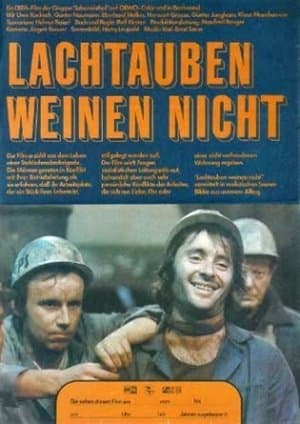 Lachtauben weinen nicht streaming