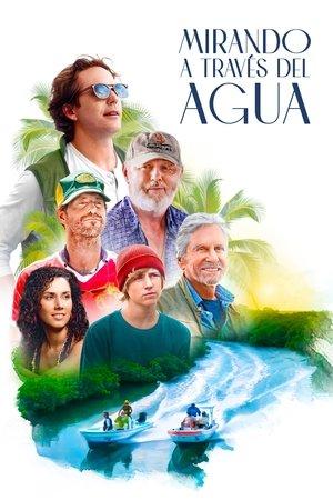 Mirando a través del agua streaming