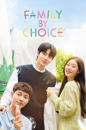 Family by Choice streaming