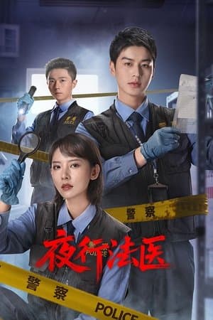 夜行法医 streaming
