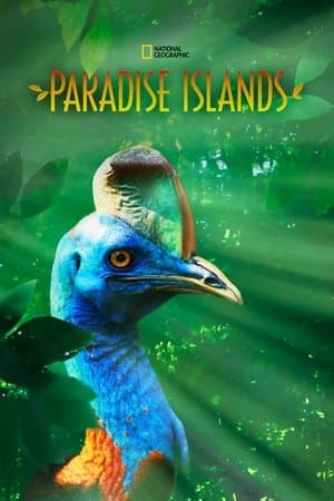 Paradise Islands streaming
