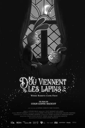 D’où viennent les lapins streaming