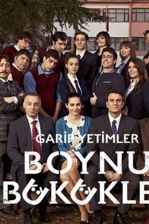 Boynu Bükükler streaming
