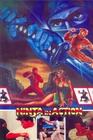 Ninja in Action streaming
