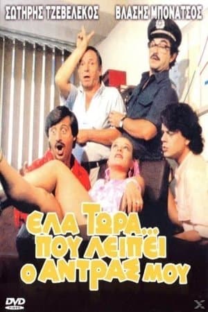 Έλα Τώρα που Λείπει ο Άντρας μου streaming