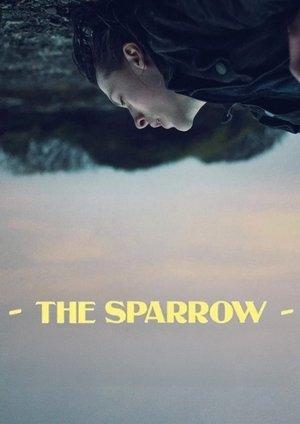 The Sparrow streaming