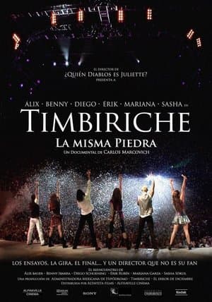Timbiriche: La misma piedra streaming