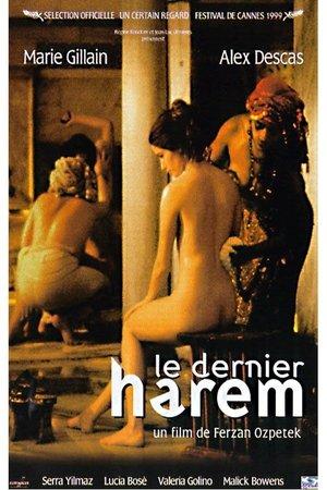 Le dernier harem streaming