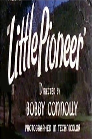 Little Pioneer streaming