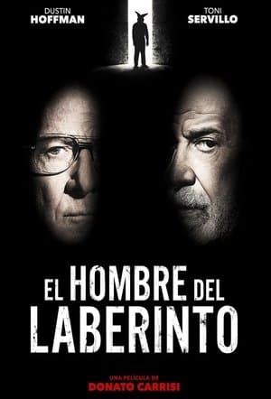 El hombre del laberinto streaming