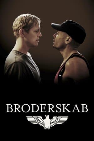 Brotherhood streaming