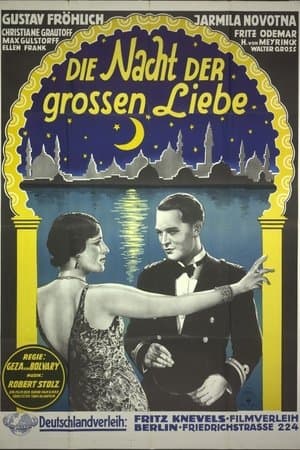 Die Nacht der großen Liebe streaming