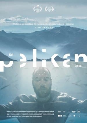 Pelikan streaming