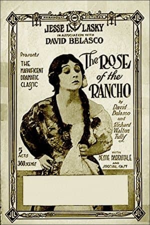 The Rose of the Rancho streaming