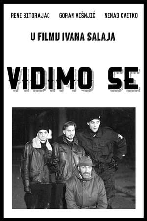 Vidimo se streaming