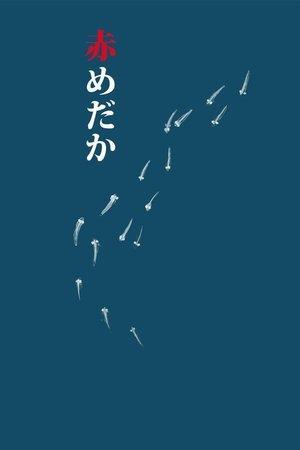 Aka Medaka streaming