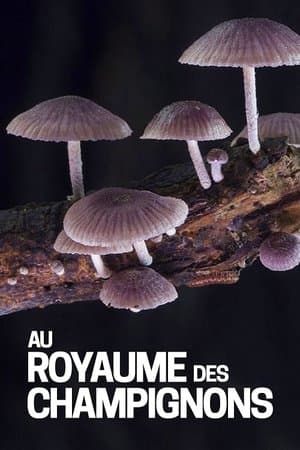 Au royaume des champignons streaming