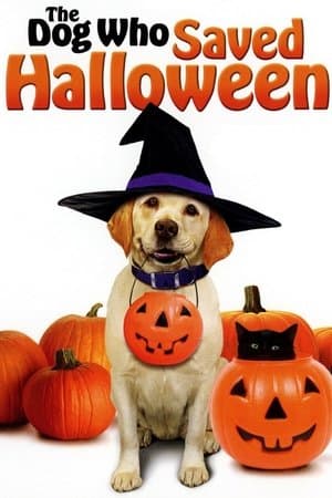Le Sauveur d'Halloween streaming