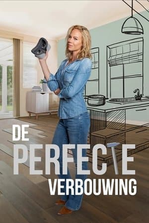 De Perfecte Verbouwing streaming