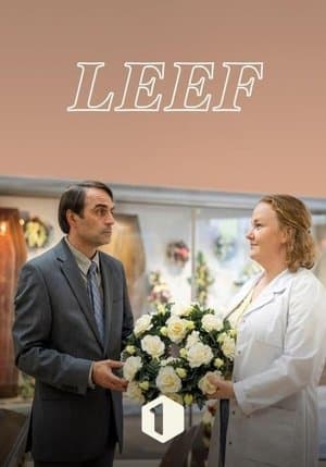LEEF streaming