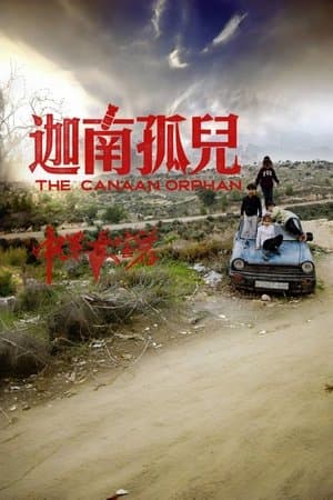 中东大宝荐：迦南孤儿 streaming