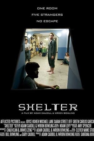 Shelter streaming