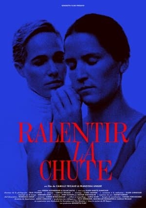 Ralentir la chute streaming