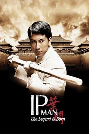 The Legend Is Born: Ip Man streaming