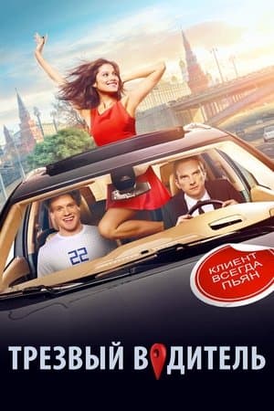 Трезвый водитель streaming