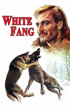 White Fang streaming